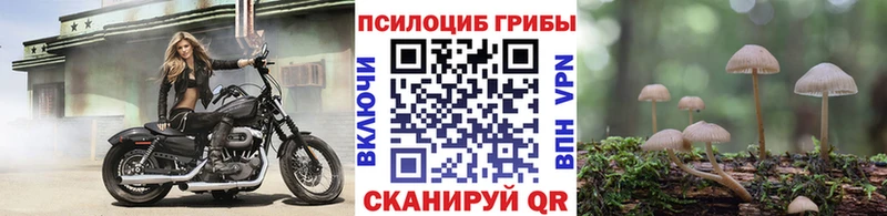 Псилоцибиновые грибы Cubensis  купить  сайты  Чайковский 